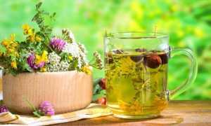 Лечение гастродуоденита народными средствами самые эффективные