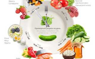Методы улучшения пищеварения и обмена веществ: продукты, препараты, травы