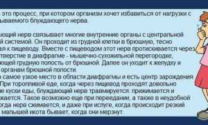 Причины рвоты у ребенка, когда нет поноса или температуры