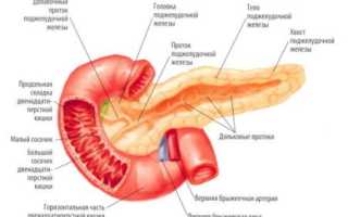 Сколько лежат в больнице с панкреатитом: лечения панкреатита у взрослых в стационаре