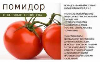 Можно ли помидоры при панкреатите поджелудочной железы