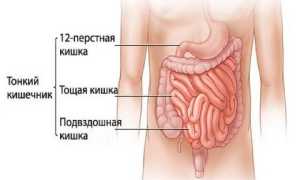 Проблемы с кишечником симптомы лечение. Симптомы больного кишечника и желудка