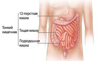 Проблемы с кишечником симптомы лечение. Симптомы больного кишечника и желудка