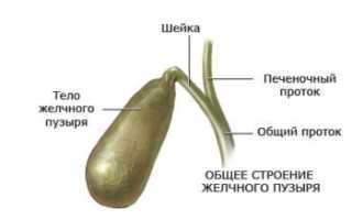 Причины желтого поноса у взрослых, как лечить