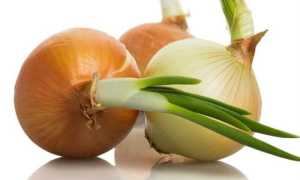Лук при панкреатите — можно ли есть вареный продукт?