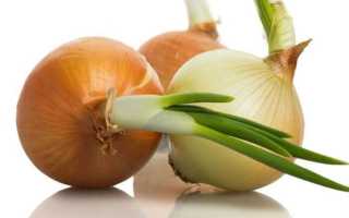 Лук при панкреатите — можно ли есть вареный продукт?