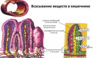 Плохая всасываемость кишечника симптомы лечение у взрослых