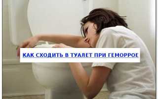 Как правильно ходить в туалет при геморрое? Рекомендации врачей
