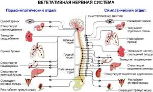 Корица при гастрите с повышенной кислотностью