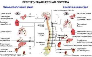 Корица при гастрите с повышенной кислотностью