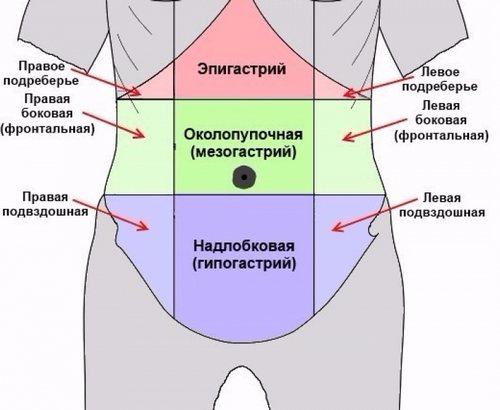 почему у ребенка болит живот