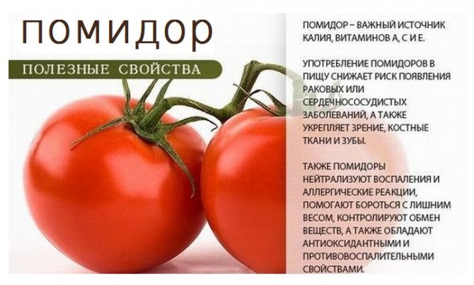 Помидоры