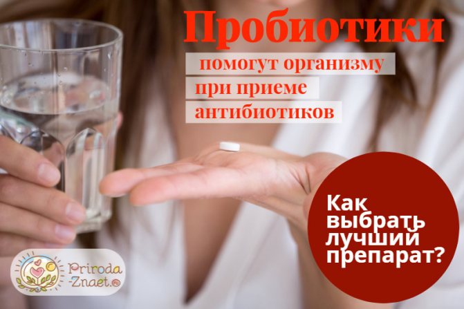 Пробиотики при приеме антибиотиков