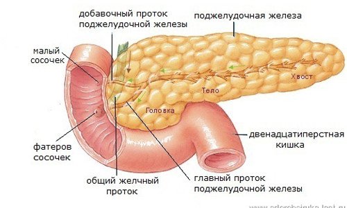 Воспаление поджелудочной железы у ребенка